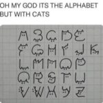 Funny Cat Memes